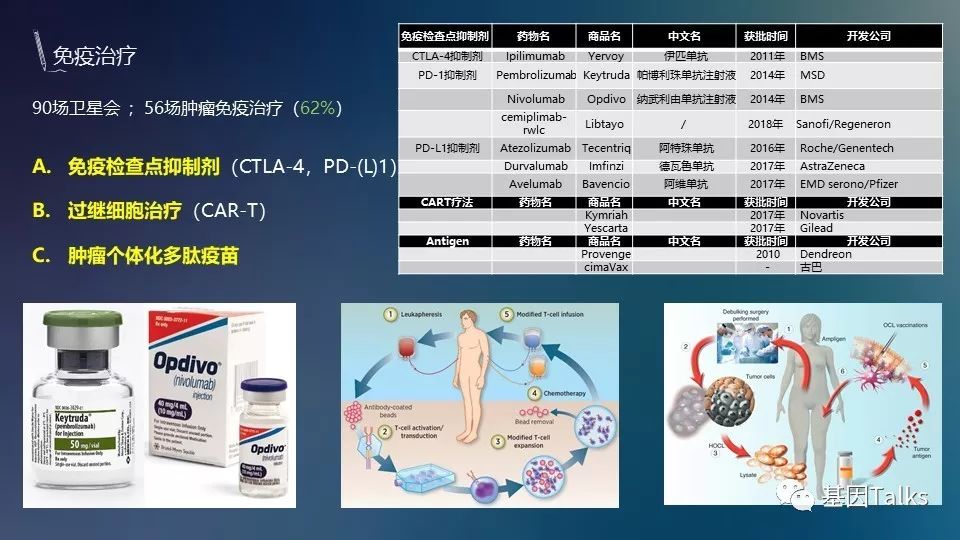 基因突变检测