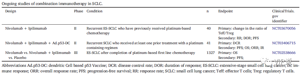 一文概览小细胞肺癌免疫治疗的未来发展方向