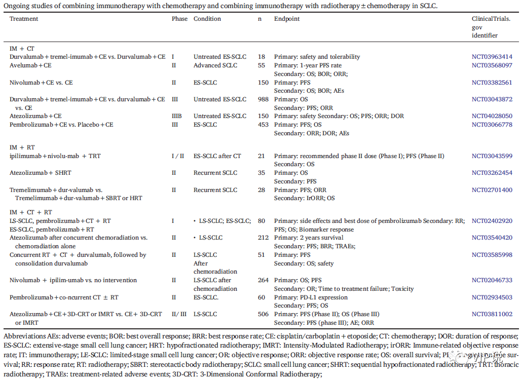一文概览小细胞肺癌免疫治疗的未来发展方向